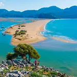 Oezguer