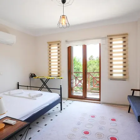 Villa Oezguer Ortaca